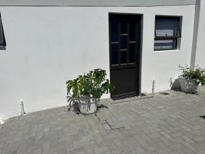 a door and two potted plants in front of a building at Ruach 5 in Bellville