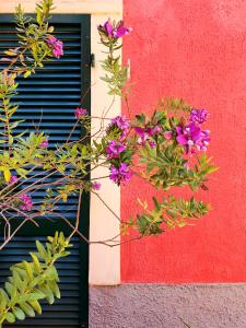 a bunch of flowers on the side of a building at Boutique Hotel Novecento in La Spezia