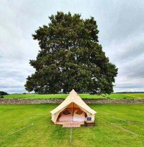 Zahrada ubytování Brookfield Camping and Glamping