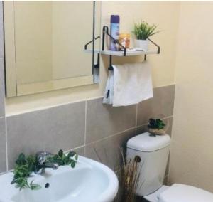 a bathroom with a sink and a toilet and a mirror at C-rane guesthouse in Phalaborwa