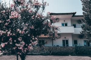 a flowering tree in front of a house at Villa Theano 2 in Toroni