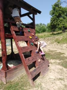 Valea IasuluiにあるPensiunea Valea Badiliiのギャラリーの写真