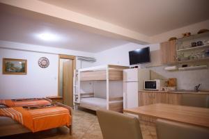 Kuchyň nebo kuchyňský kout v ubytování Apartments Cvitini Dvori Garjak