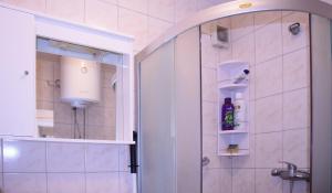 Koupelna v ubytování Apartments Cvitini Dvori Garjak + 37 fotografií
