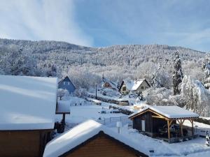 a village covered in snow with mountains in the background at chez Marie et Eric in Dieffenbach-au-Val