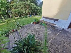 Zahrada ubytování Schnorr-Villa