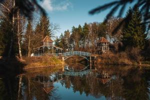 a bridge over a body of water with trees at Vytenio parkas in Sudervė +26 photos