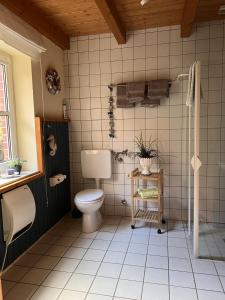 a bathroom with a toilet and a tiled wall at Ferienhaus Buren-Hof in Bodenfelde