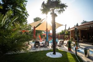 a palm tree in a yard with chairs and a pool at Wellness Hotel Gyula in Gyula