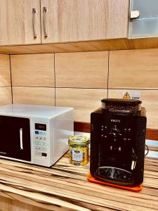 a microwave and a toaster oven on a counter at Pensiunea Roua - Mountain View in Sinaia +18 photos