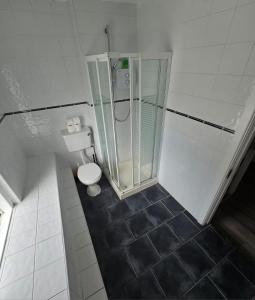 a bathroom with a shower and a toilet at City Centre Stay Apartment in Galway