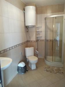 a bathroom with a toilet and a shower and a sink at Апартаменты за гости Гаван in Byala