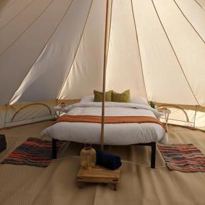 Ένα ή περισσότερα κρεβάτια σε δωμάτιο στο Fallow Fields Camping, Selson Farm
