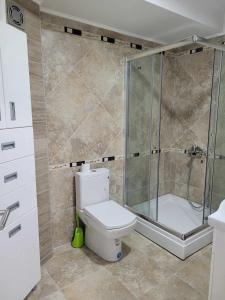 Un baño con inodoro y ducha de cristal. en Double Dream Vrnjačka Banja, en Vrnjačka Banja