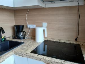 Kuchyň nebo kuchyňský kout v ubytování Lana Hostel