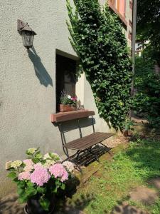 Zahrada ubytování Ferienwohnung in historischer Mühle