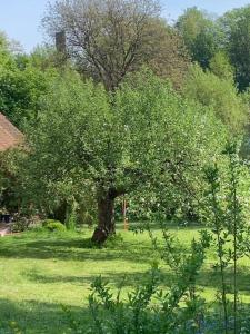 Zahrada ubytování Ferienwohnung in historischer Mühle
