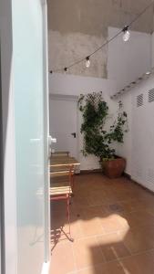 une chambre avec une table et une plante en pot dans l'établissement Casa Tonino: Encantadora casa junto al Río Duero, à Zamora