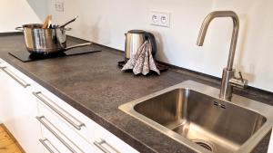 Kuchyň nebo kuchyňský kout v ubytování Apartmány Včelín + 37 fotografií