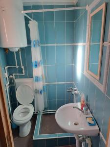 Ένα μπάνιο στο Zoja Apartman Vlasinsko Jezero