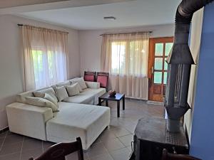 Χώρος καθιστικού στο Zoja Apartman Vlasinsko Jezero