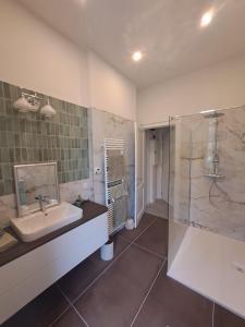 a bathroom with a sink and a shower at Le Petit Château Peltzer in Verviers +4 photos