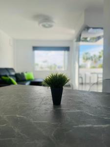 英格兰海滩JeLe Guest Room的相册照片