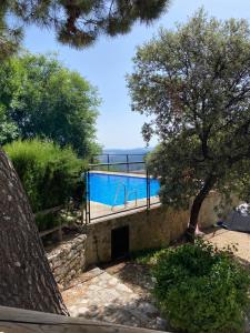 a view of a swimming pool with a tree at Camping TajoRodillo in Grazalema