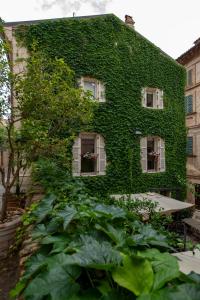 A garden outside Casa Segreta