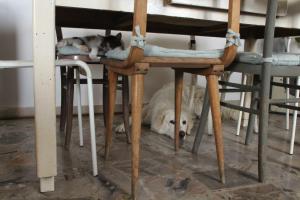 Gallery image of Casa Formica in San Pietro di Recanati +13 photos