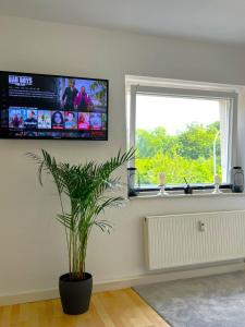 TV a/nebo společenská místnost v ubytování Nobelapartment zum Wohlfühlen