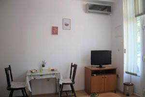 TV a/nebo společenská místnost v ubytování Apartments Pidi