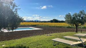 Assisium Agriturismo内部或周边的泳池