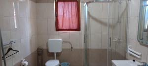 a bathroom with a shower and a toilet and a window at Apartman Iris in Gabonjin +22 photos