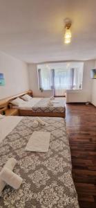 Una habitación de hotel con dos camas y una gran ventana. en Stephanie Apartment-Centru civic, en Brasov