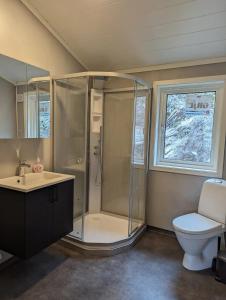 HeimdalにあるBjønntjønn 221のシャワー、トイレ、洗面台を備えたバスルーム