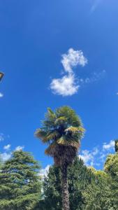 Foto sihtkohas Crespano del Grappa asuva majutusasutuse Villa Scalabrini galeriist