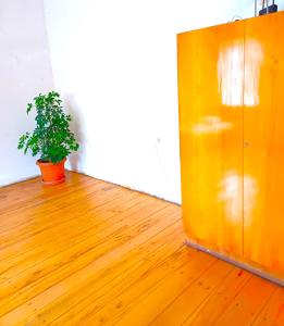 Fotografie z fotogalerie ubytování Matsantsara v destinaci Telavi