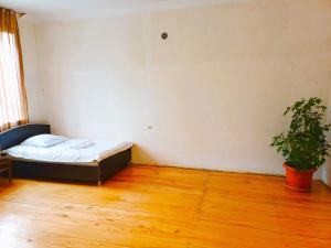 Fotografie z fotogalerie ubytování Matsantsara v destinaci Telavi