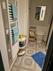 a small bathroom with a mirror and a blue rug at Apartment Lublana in Ljubljana