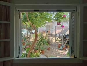 a window view of a garden with potted plants at 35m2 apt close to beach in Lygia
