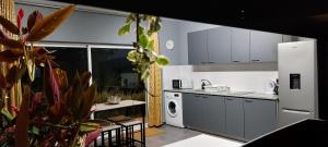 a kitchen with a sink and a dishwasher at Studio Fons in Abragão