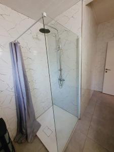 a shower with a glass door in a bathroom at MAT Flat in Liège