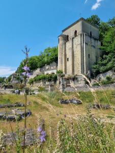 un château sur une colline avec des fleurs violettes au premier plan dans l'établissement Le cosy charmeur Climatisé avec patio, à Tours