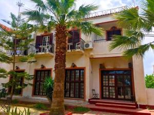 a building with palm trees in front of it at Miranta Hotel - Apartments & Studios in Aegina Town