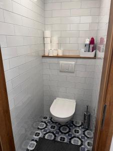 Koupelna v ubytování Apartman 7 Plesivec