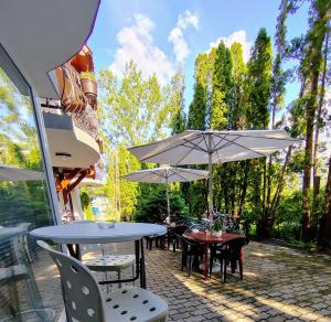 A garden outside Hévíz Apartman Hévíz