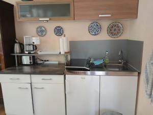 a kitchen with a sink and plates on the wall at Gartenhaus Steffie in Potsdam