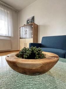 a wooden bowl with a plant in a living room at Penthouse near Red Bull Ring in Knittelfeld