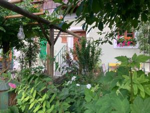 Giardino di Ferienwohnung Schreiner